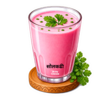 Solkadhi Fridge Magnet